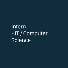 Intern (IT/Computer Science)